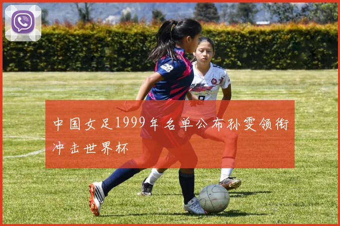 中国女足1999年名单公布孙雯领衔冲击世界杯