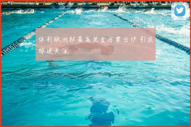 体彩欧洲杯最高奖金方案出炉 引发球迷关注
