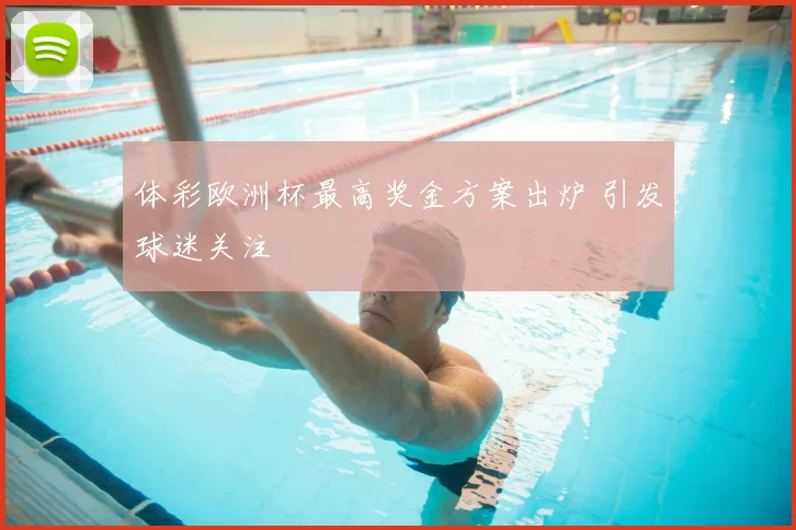 体彩欧洲杯最高奖金方案出炉 引发球迷关注